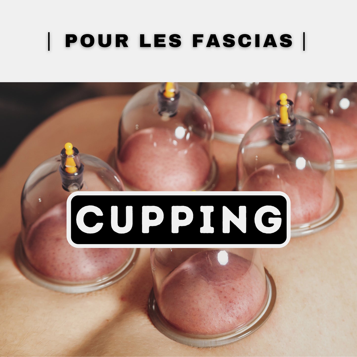 Cupping (1 jour)
