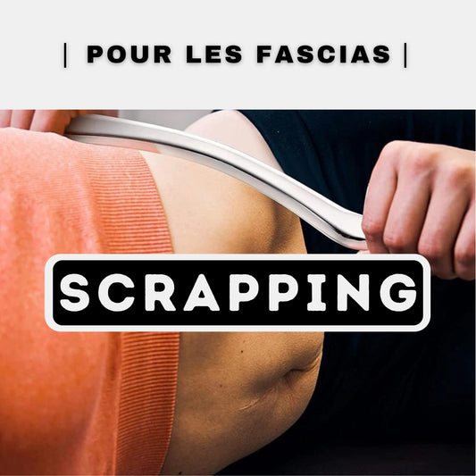 Scrapping (1 jour)